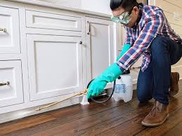 Best Pest Control for Multi-Family Homes  in Indian Lake, TX